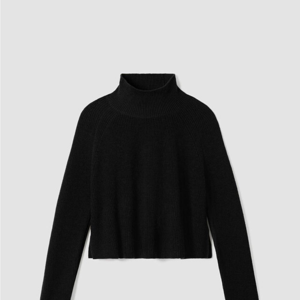 Eileen Fisher Black Turtleneck Sweater